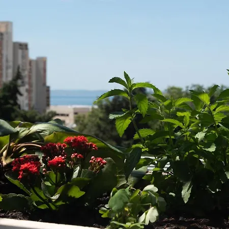 Sunnyrose - Walking Distance From Znjan - Free Public Parking - Huge Balcony * Split